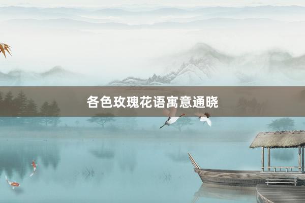 各色玫瑰花语寓意通晓